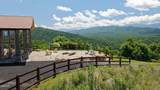 3661 Richardson Cove Road - Photo 50