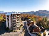 410 Big Bear Way - Photo 35