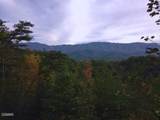 Lot 64 Vixen Run - Photo 3