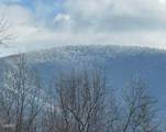 1016 Country Mountain Road - Photo 42