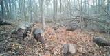 1016 Country Mountain Road - Photo 48