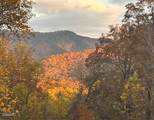 1016 Country Mountain Road - Photo 52