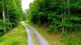 00 Rhyne Camp Road - Photo 46