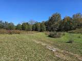 Lot 35 Shoreline Vista - Photo 4