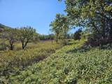 Lot 35 Shoreline Vista - Photo 7