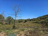 Lot 35 Shoreline Vista - Photo 8