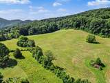 377 Thomas Loop Road - Photo 67