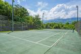 3710 Weber Road - Photo 37