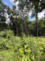 Lot 12 Cherokee Drive - Photo 2