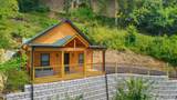 1026 Black Bear Cub Way - Photo 20