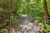 Tr 5 Wilhite Road - Photo 39