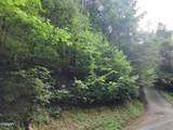 0 Old Hag Hollow Way - Photo 3
