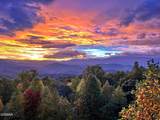 714 Shell Mountain Road - Photo 50