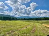 5418 Cocke County Line Road - Photo 2