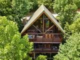 4523 Forest Vista Way - Photo 3