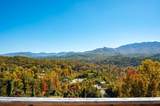732 Beanstalk Road - Photo 35
