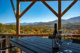 732 Beanstalk Road - Photo 62