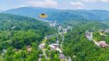 260 Roaring Fork Road - Photo 28