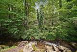 211 Webb Creek Skyline Drive - Photo 47