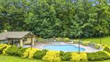 338 Pinnacle View Way - Photo 41