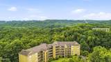 338 Pinnacle View Way - Photo 43
