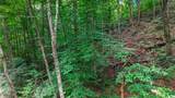 Lot 10 Maple Hill Way - Photo 10