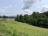 1665 Cosby Highway - Photo 4
