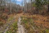 7300 Snake Hollow Road - Photo 45