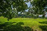 1435 Collins Road - Photo 4
