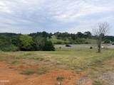 1665 Cosby Highway - Photo 10