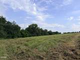 1665 Cosby Highway - Photo 17