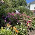 905 Columbine Lea - Photo 2