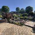 905 Columbine Lea - Photo 46