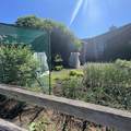 905 Columbine Lea - Photo 48
