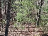 Lot 10 John Boy Trail - Photo 5