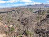 Lot 14 Sugar Maple Loop Road - Photo 22