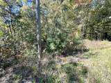 6 Acres Creek Hollow Way - Photo 3