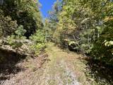 6 Acres Creek Hollow Way - Photo 5