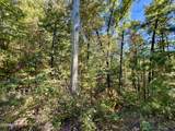 6 Acres Creek Hollow Way - Photo 6