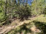 6 Acres Creek Hollow Way - Photo 9