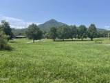 3925 Katy Hollar Road - Photo 4