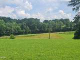 213 Washita Lane - Photo 4