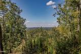 1155 Fowlers Grove Road - Photo 46