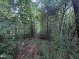 Lot 29 Scenic Woods Way - Photo 5
