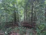 Lot 29 Scenic Woods Way - Photo 6