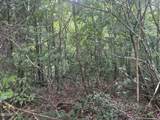 Lot 29 Scenic Woods Way - Photo 7