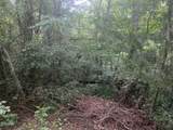 Lot 29 Scenic Woods Way - Photo 8