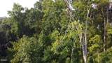 Lot 145 Reedmont Way - Photo 11
