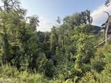 Lot 145 Reedmont Way - Photo 15