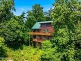 2606 Tree Top Way - Photo 2